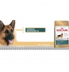 Royal Canin NEMECKÝ OVČIAK Royal Canin NEMECKÝ OVČIAK