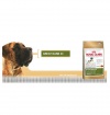Royal Canin NEMECKÁ DOGA Royal Canin NEMECKÁ DOGA