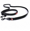 EZYDOG VODÍTKO ROAD RUNNER LEASH EZYDOG VODÍTKO ROAD RUNNER LEASH